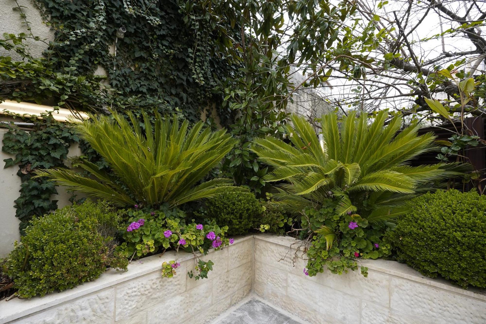 Naylover Hotel Suites Amman Exterior foto